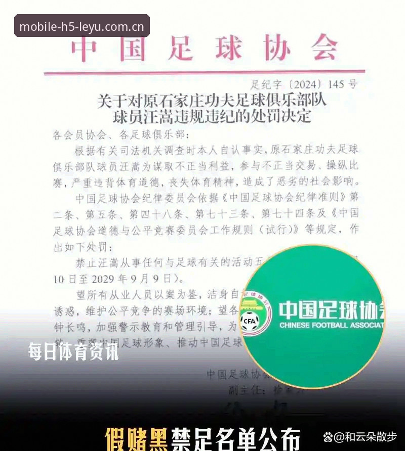 3组数据拆解足协第三批禁足名单：17人终身禁足、48人禁足5年，乐鱼体育平台资讯核验观察